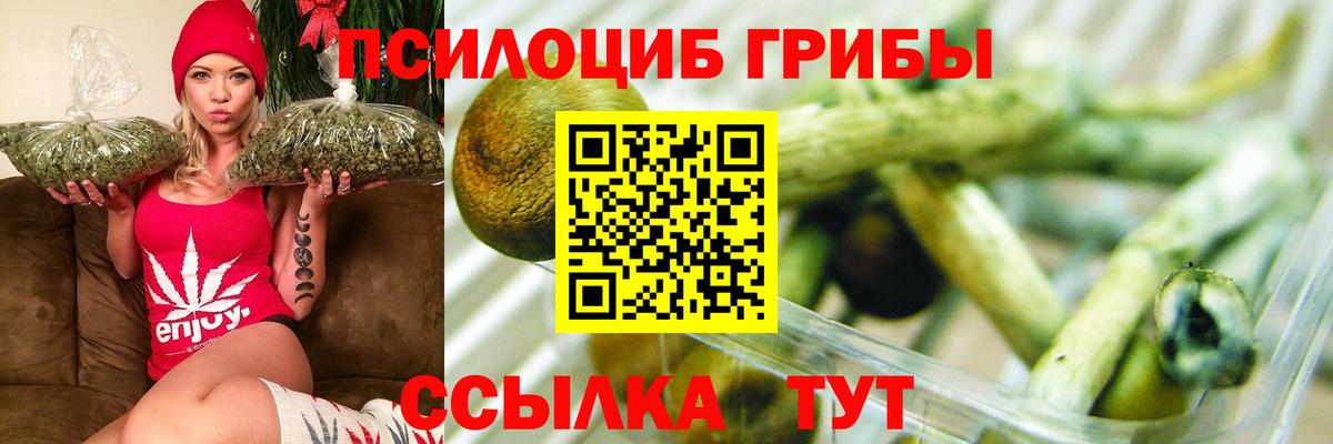 Галлюциногенные грибы GOLDEN TEACHER  Вход с VPN  как найти закладки  Галлюциногенные грибы Magic Shrooms  Рыбинск 